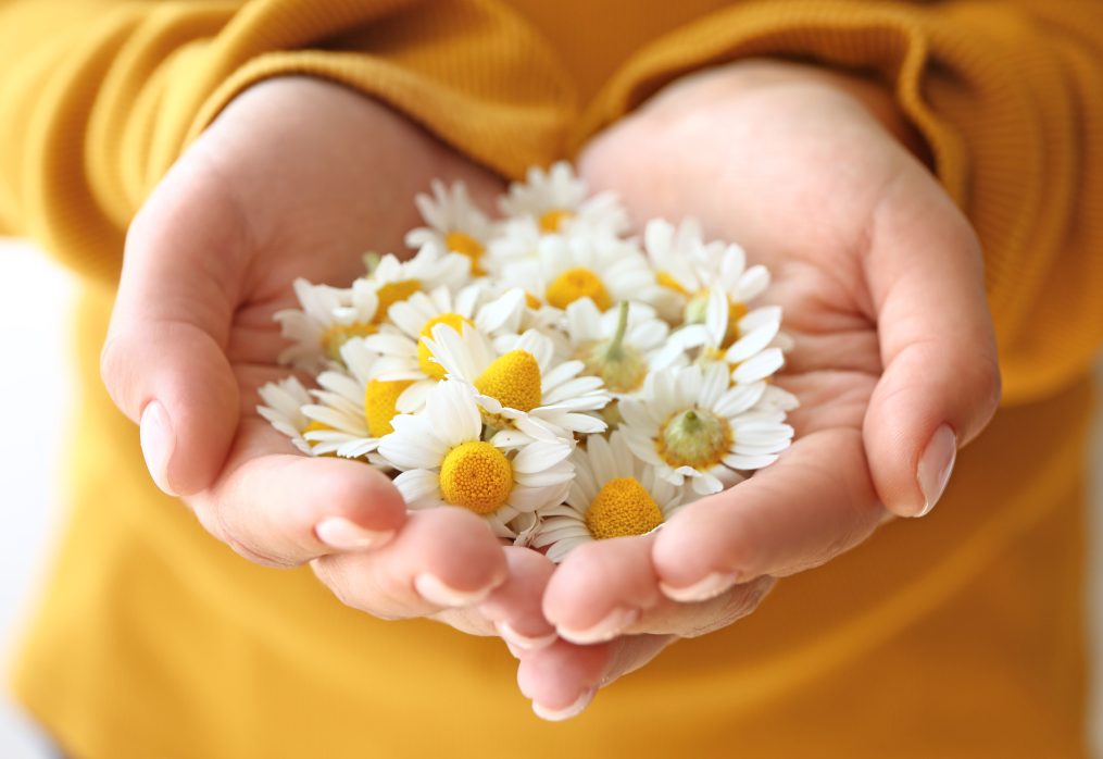 10 Simple Ways to Share Kindness Every Day (Even When Life Feels Busy)