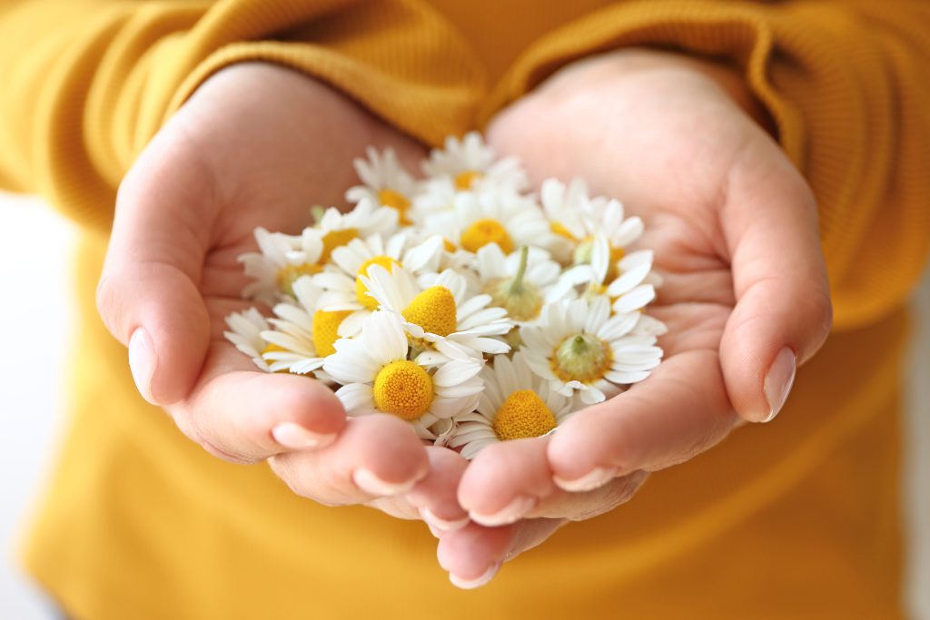 10 Simple Ways to Share Kindness Every Day (Even When Life Feels Busy)